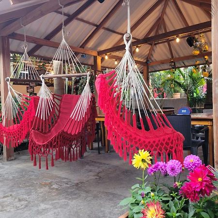 Hostal Hilltop Salento Exterior foto